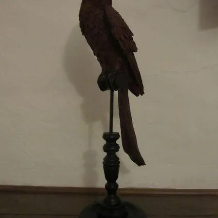 La Casa Palmera - Caminito Del Rey * Pizarra