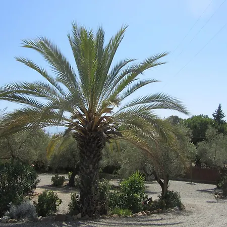 La Casa Palmera - Caminito Del Rey Apartamento